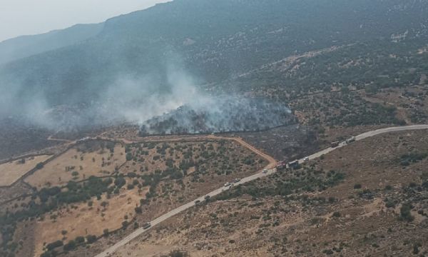 İzmir'de orman yangını alarmı!